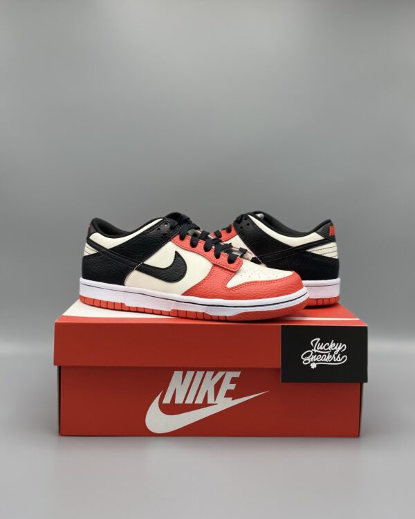 Nike Dunk low NBA 75th Anniversary Chicago