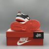 Nike Dunk low NBA 75th Anniversary Chicago