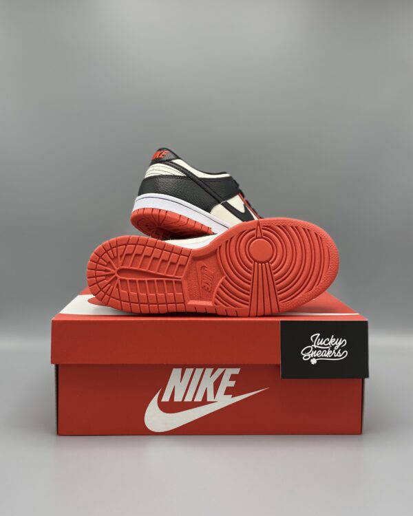 Nike Dunk low NBA 75th Anniversary Chicago